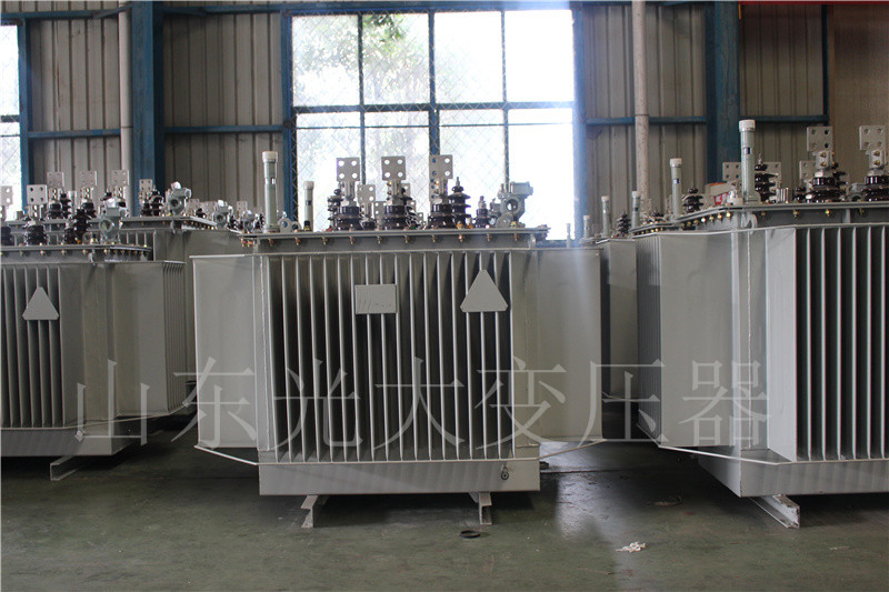 阜平S20-500KVA/10KV